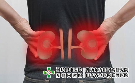 2 (162)肾 共病